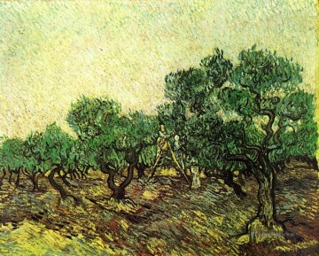 Recogida de aceitunas 2 Vincent van Gogh Pinturas al óleo